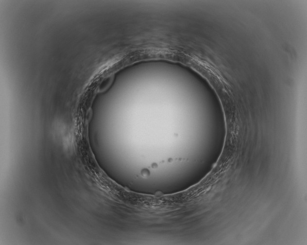 X0000113291207200909141157