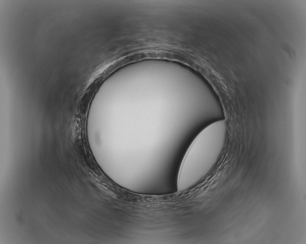 X0000113291208200909141157