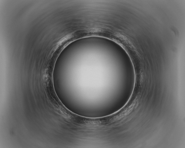 X0000113291210200909141157