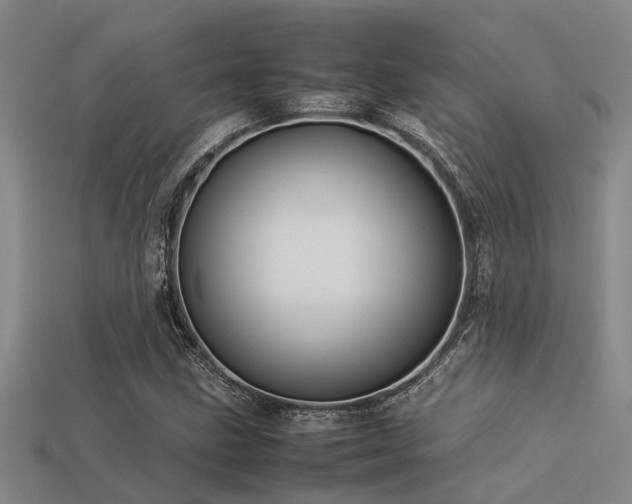 X0000113291211200909141157