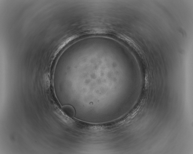 X0000113291212200909141157