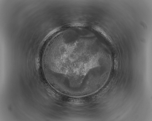 X0000113291213200909141157