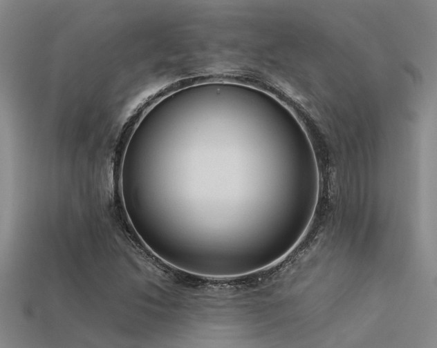 X0000113291214200909141157