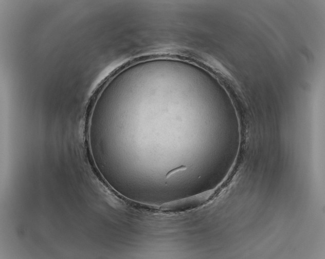 X0000113291216200909141157