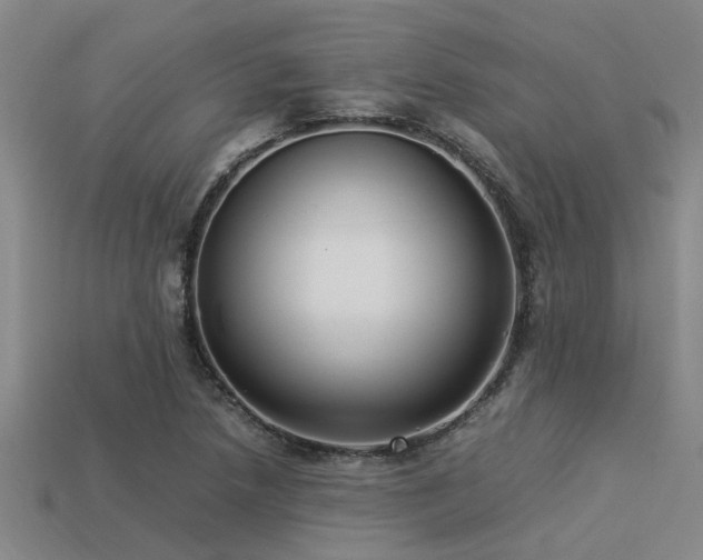 X0000113291218200909141157