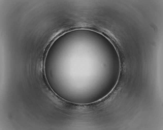 X0000113291220200909141157