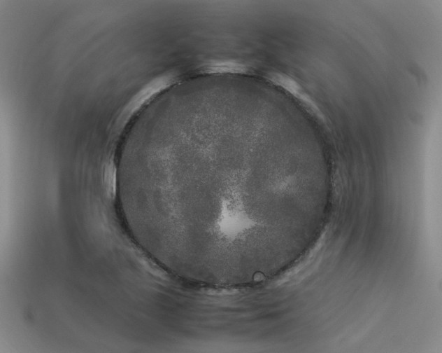 X0000113291221200909141157