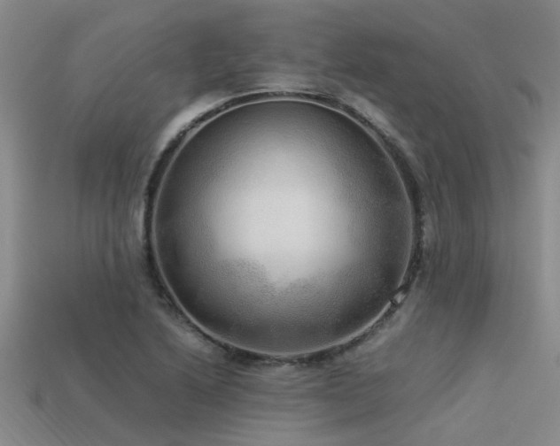 X0000113291222200909141157