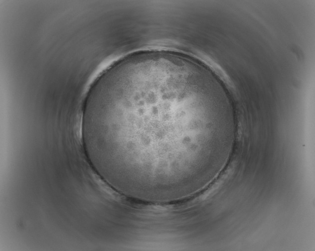 X0000113291224200909141157