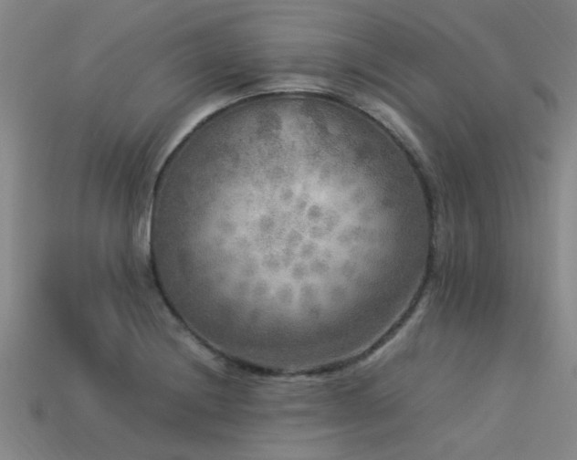 X0000113291228200909141157