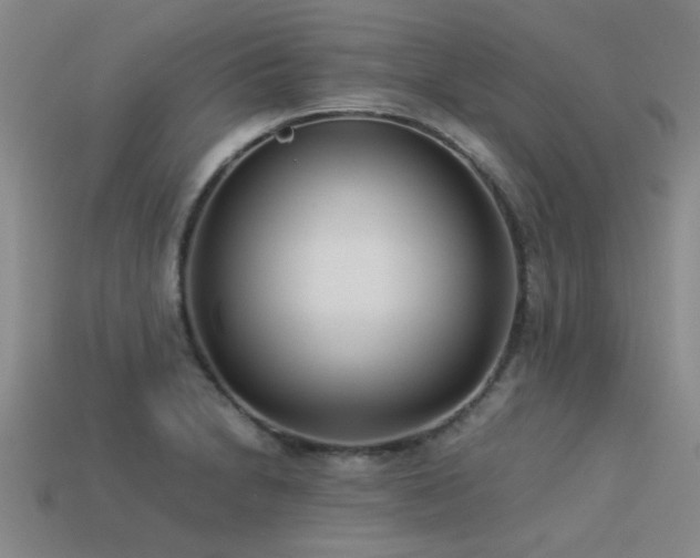 X0000113291230200909141157