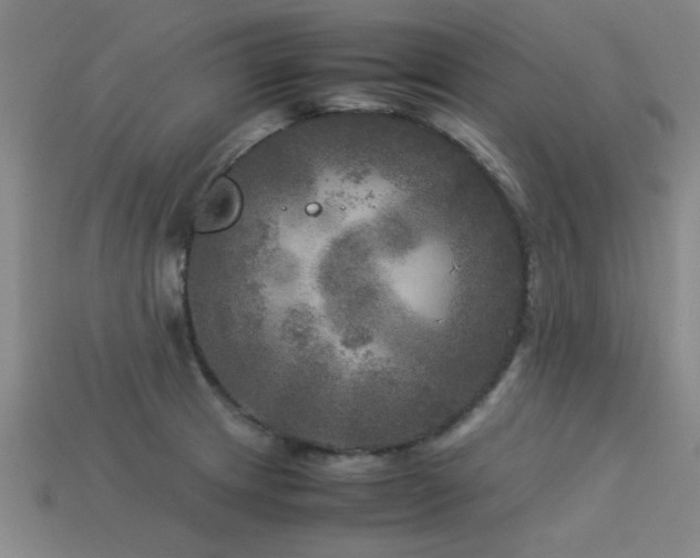 X0000113291233200909141157