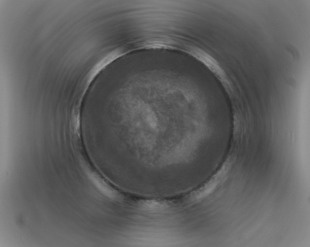 X0000113291234200909141157