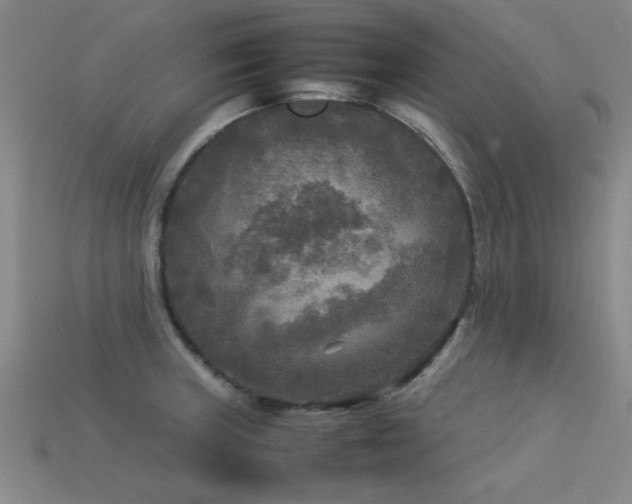 X0000113291235200909141157