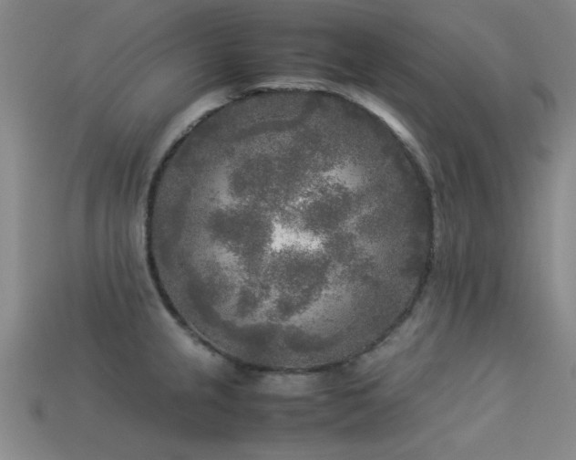 X0000113291237200909141157