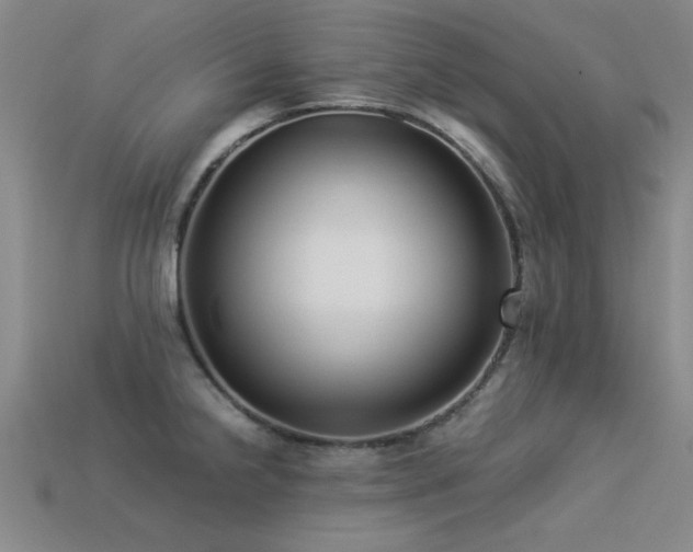 X0000113291238200909141157