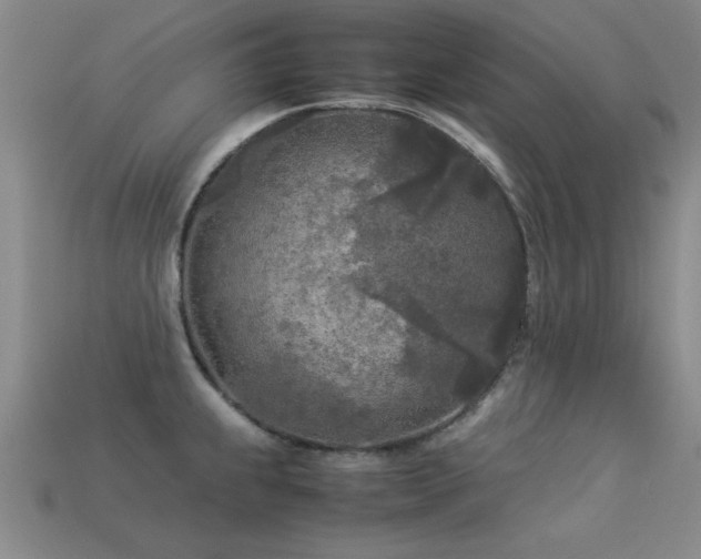 X0000113291239200909141157