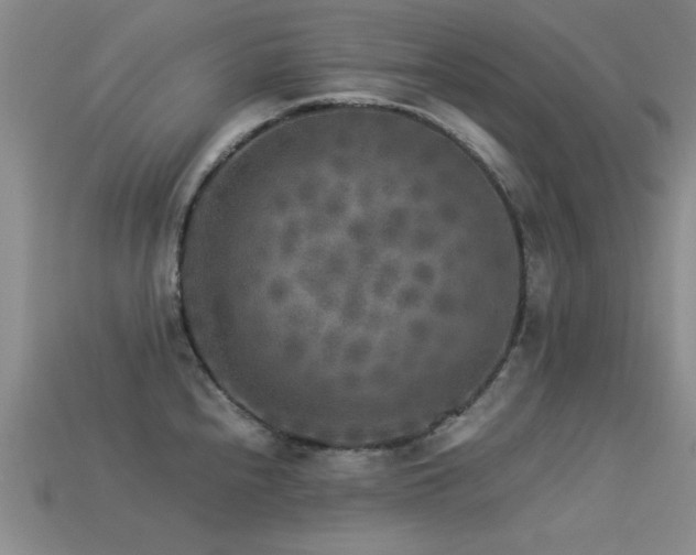 X0000113291240200909141157