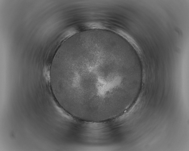 X0000113291241200909141157