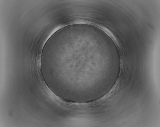 X0000113291244200909141157