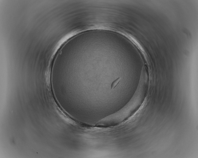 X0000113291246200909141157