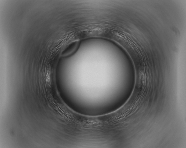 X0000113291250200909141157