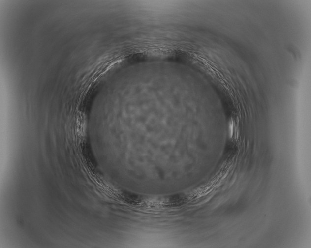 X0000113291251200909141157