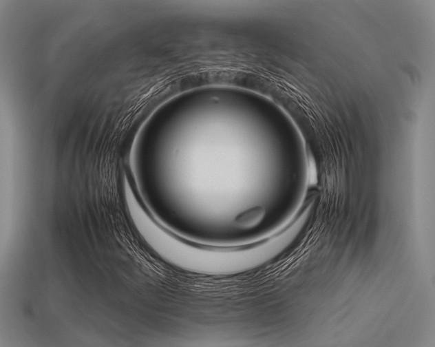 X0000113291252200909141157