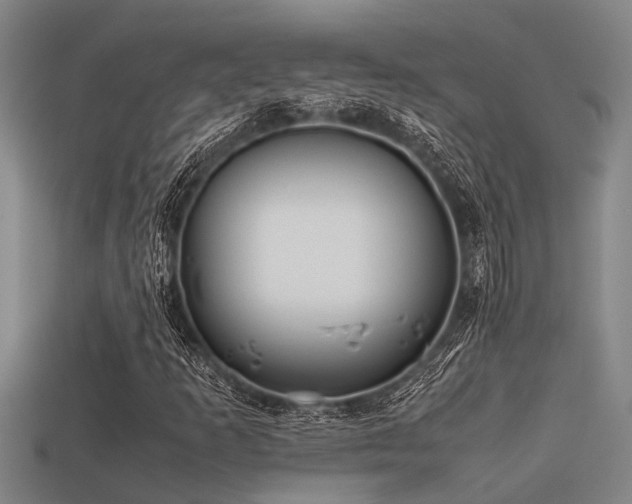 X0000113291253200909141157