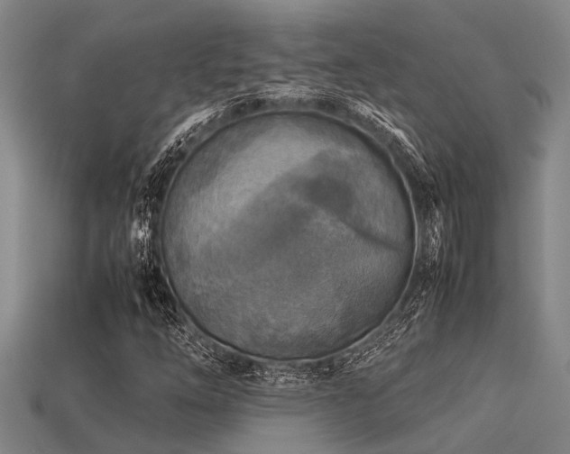 X0000113291254200909141157