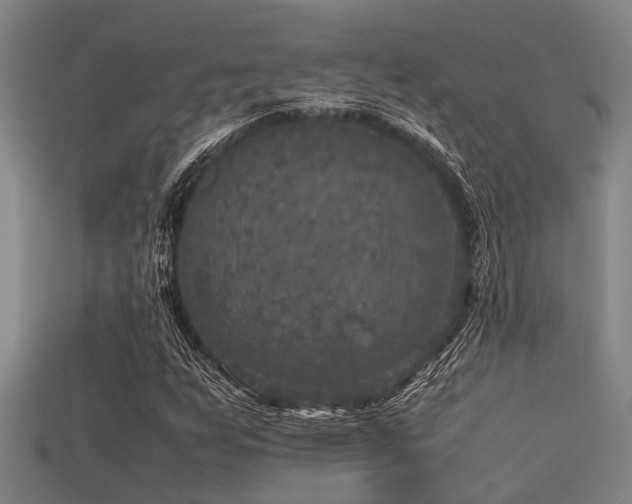 X0000113291255200909141157