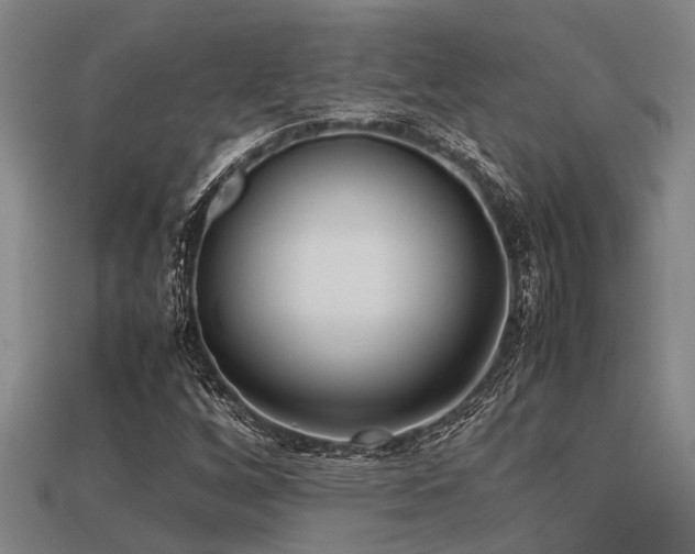 X0000113291256200909141157