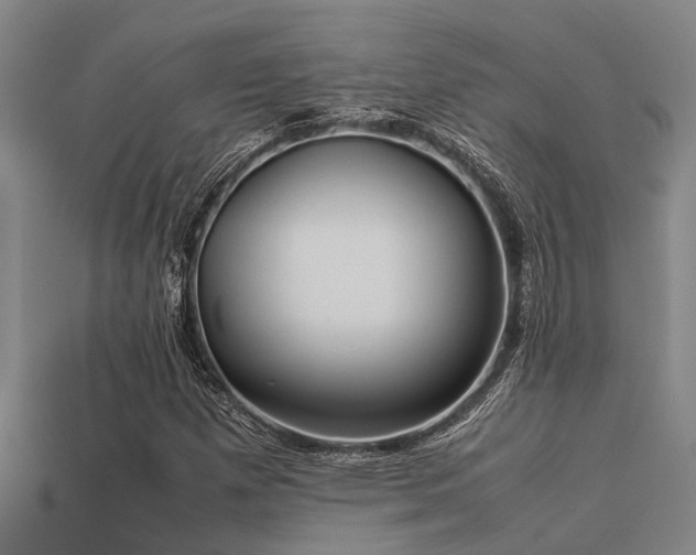 X0000113291257200909141157