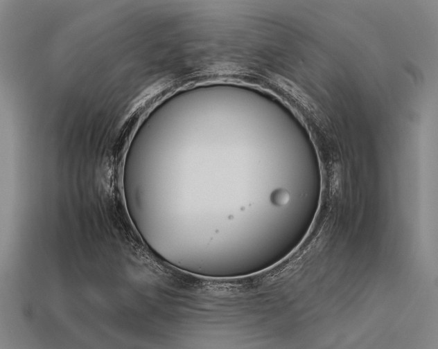 X0000113291258200909141157