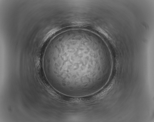 X0000113291259200909141157