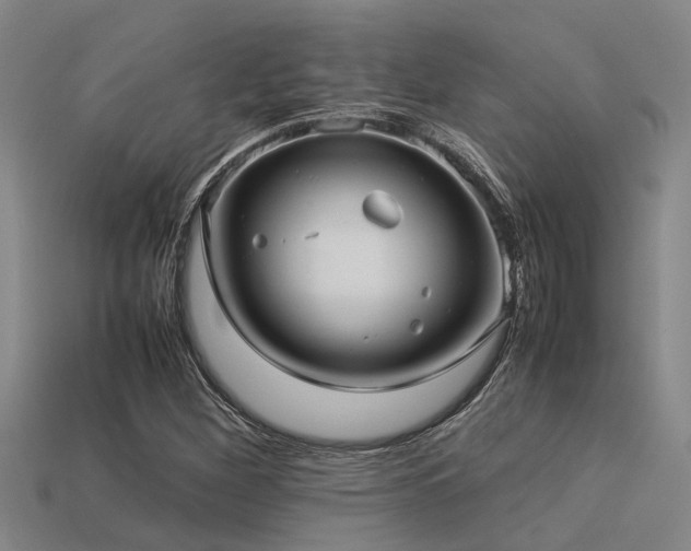 X0000113291260200909141157