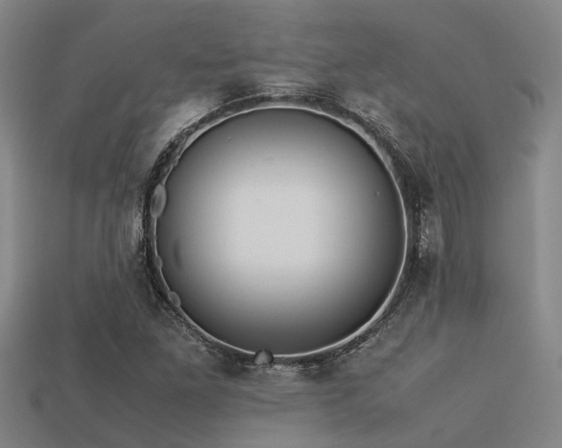 X0000113291261200909141157