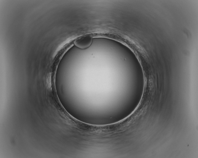 X0000113291262200909141157