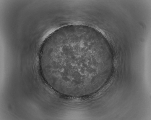 X0000113291263200909141157