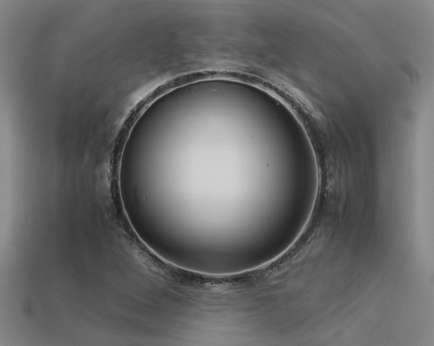 X0000113291264200909141156