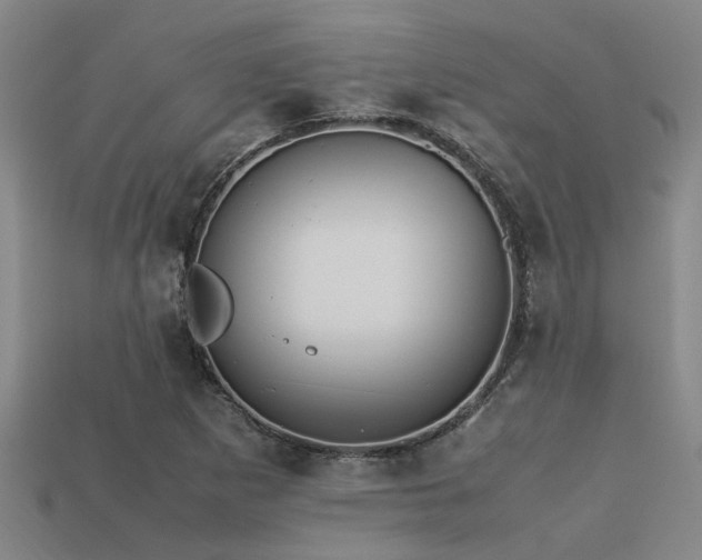 X0000113291265200909141156