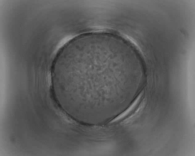 X0000113291267200909141156