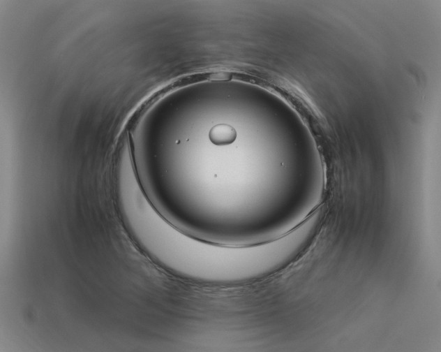 X0000113291268200909141156