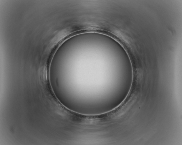 X0000113291269200909141156