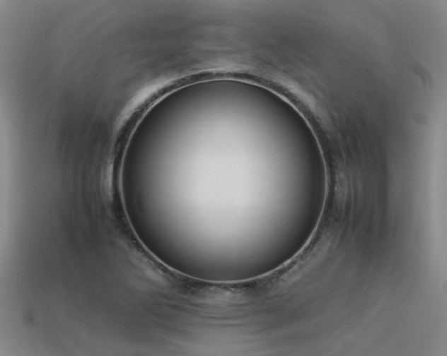 X0000113291270200909141156