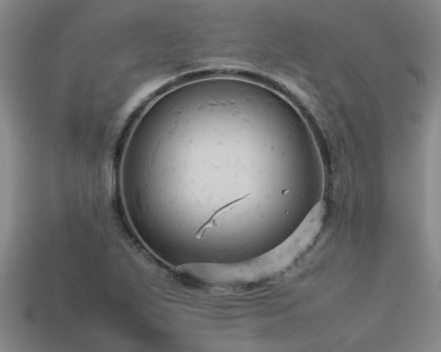 X0000113291271200909141156