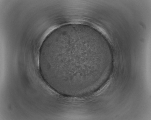 X0000113291275200909141156