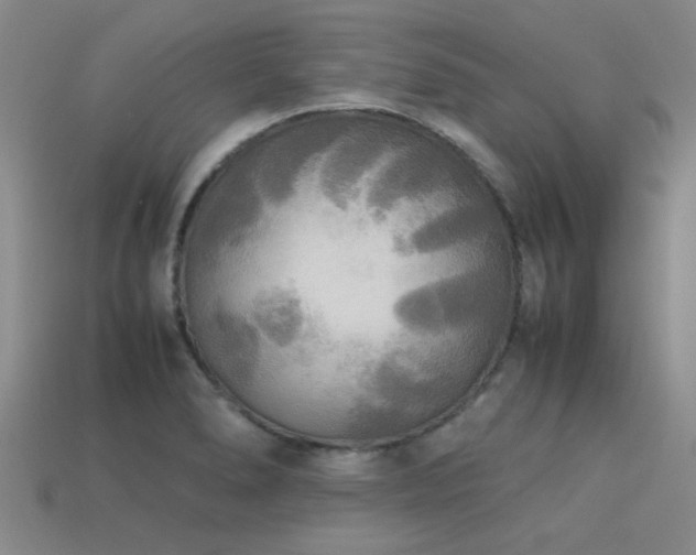 X0000113291278200909141156