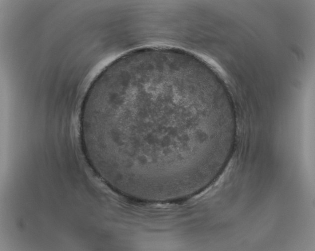 X0000113291279200909141156