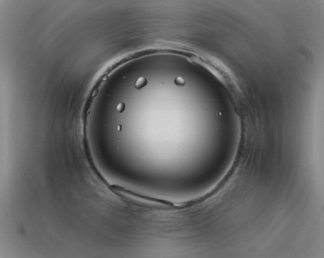 X0000113291280200909141156